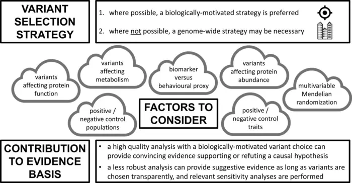 Central illustration of factors influencing variant choice in Mendelian randomisation.