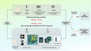 Intraoperative diagnosis workflows for both conventional H&E-based histology and D-FFOCT plus deep learning.