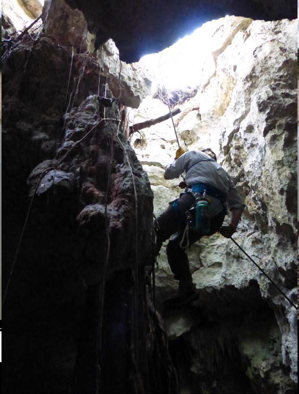 Image 1 Mychajliw and Colleagues Search Caves for Fossil Evidence