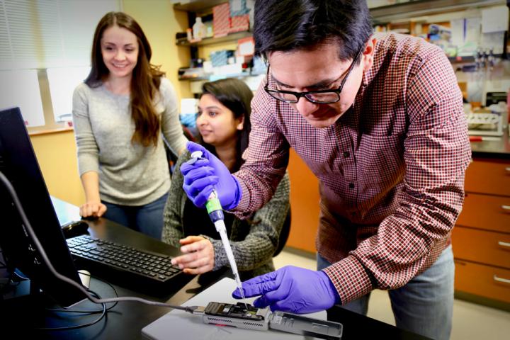 Genetic Bioinformatic Students in Lab