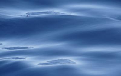 Surface Oil Sheen, October 2012