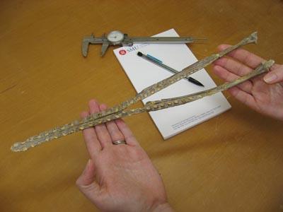 Rare 95-Million-Year-Old Flying Reptile <I>Aetodactylus halli</I> is New Pterosaur Genus, Species