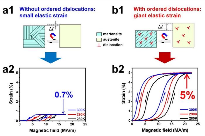 Researchers Achieve 5% Magneto-Superelastic Strain in Ni34Co8Cu8Mn36Ga14 Single Crystal