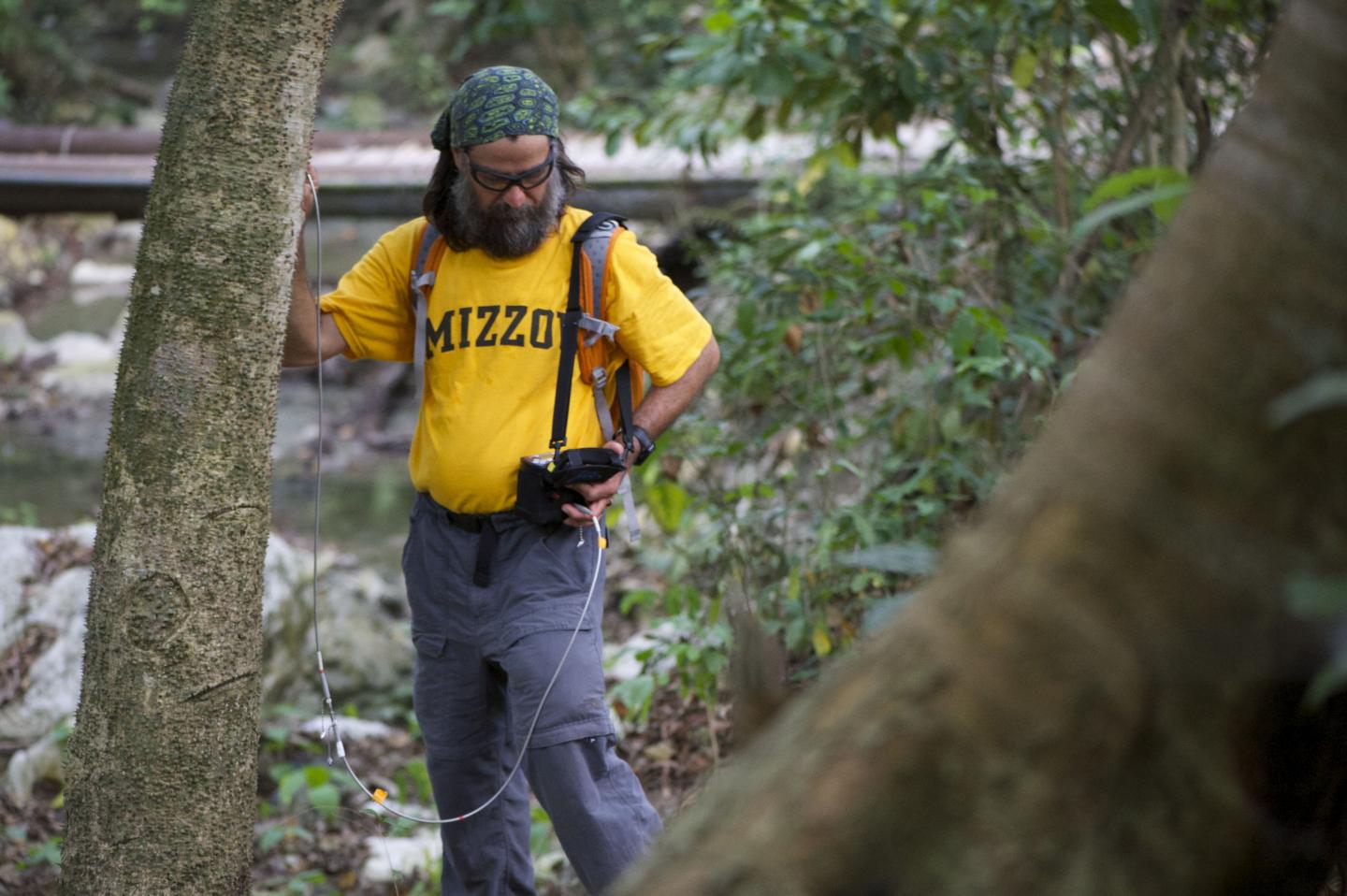 Manuel Leal, University of Missouri-Columbia