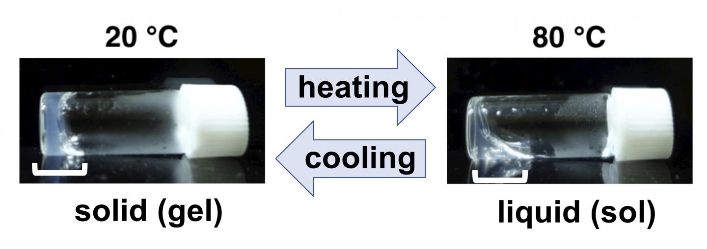 Temperature Response of the Peptide