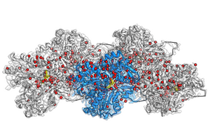 Cryo-EM reconstruction of F-actin bound to Mg2+-ADP-BeF3. at 2.2 Å resolution