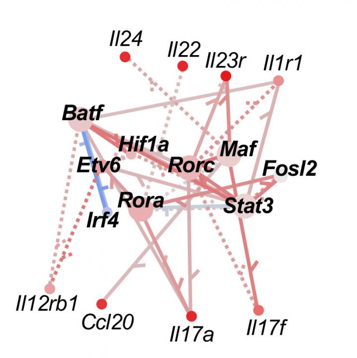 Mapping Gene Regulation
