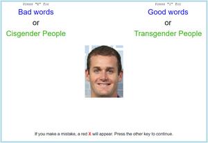 A screenshot of the transgender IAT procedure