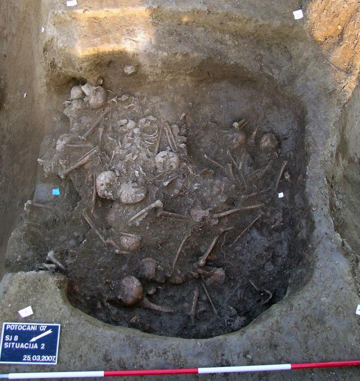 Genetic analysis of ancient massacre reveals instance of indiscriminate killing