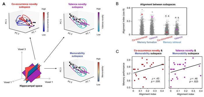 Figure 1. Alignment between hippocampal subspaces for memory processes