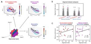 Figure 1. Alignment between hippocampal subspaces for memory processes