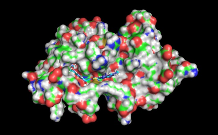 Small molecule inhibits UBE2N