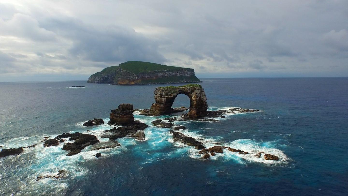 Darwin's Arch : Darwin S Arch Image Eurekalert Science News Releases