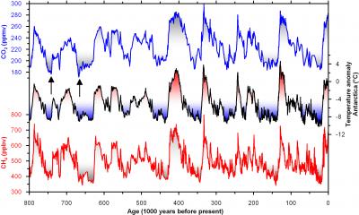 Curves for the Temperature and the Greenhouse Gases