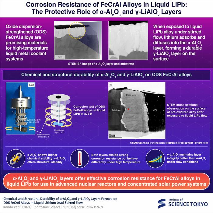 Corrosion Resistance of FeCrAl Alloys in Liquid LIPb