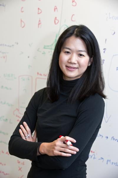 Liane Young, Boston College