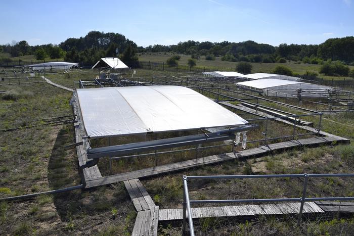 The experimental area in Fülöpháza, Central Hungary