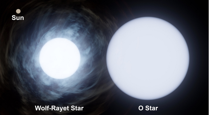 Relative size of the Wolf-Rayet star