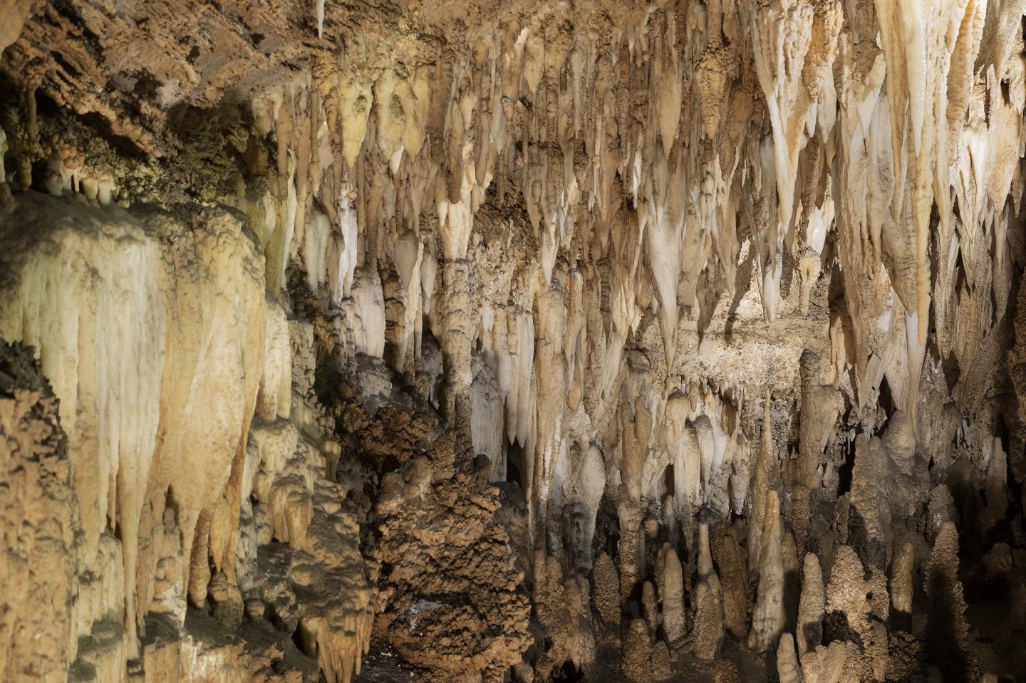 Stalagmite for Radiometric Dating