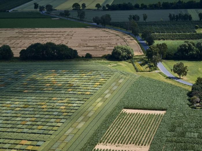 Diversified farming