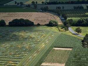 Diversified farming