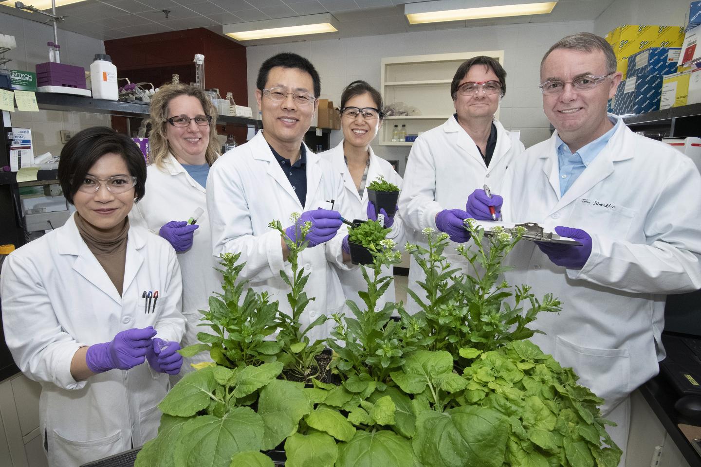 Plant Oil Research Team