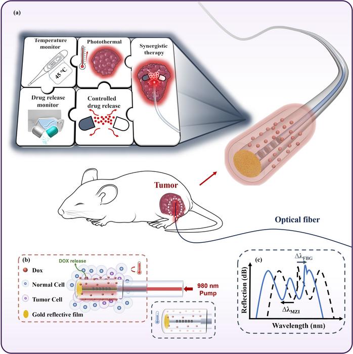 Schematic diagram of optic-fiber drug delivery system with the drug controlled-release and in-situ monitoring functions