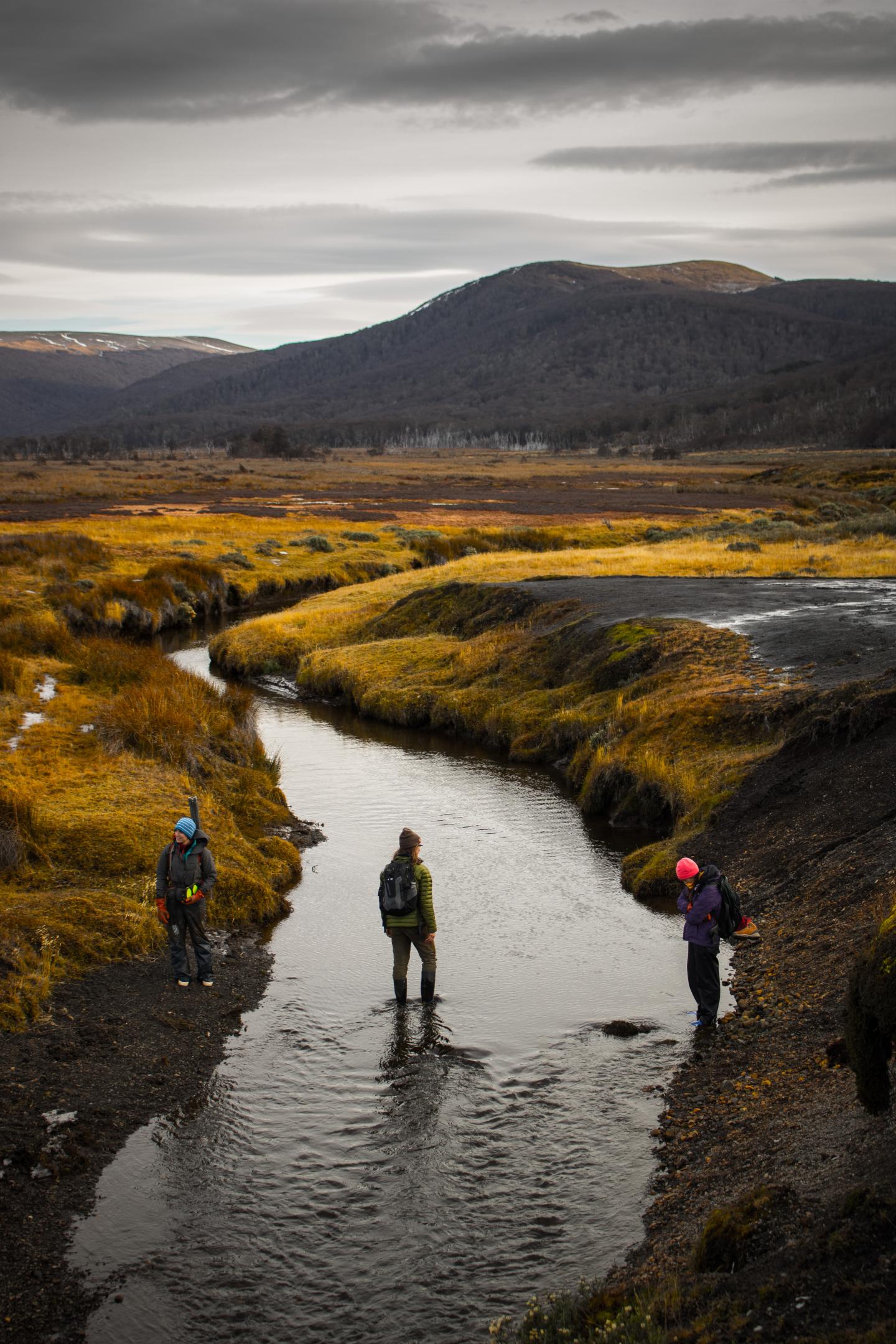 Oceanic peatland