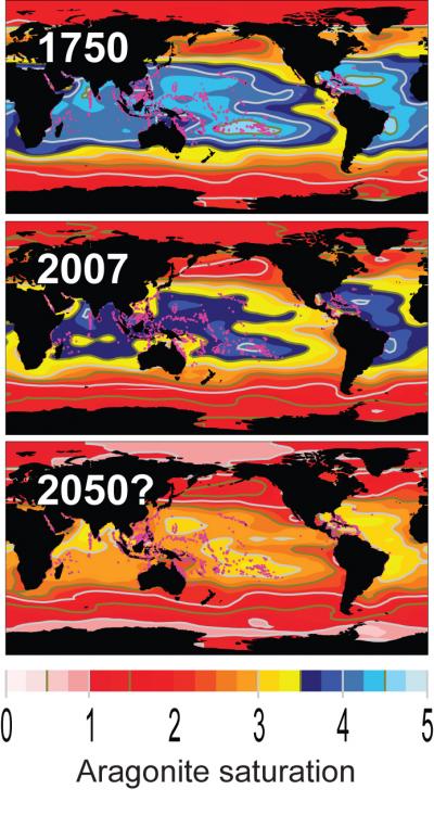 Acid Oceans Threaten Coral Reefs