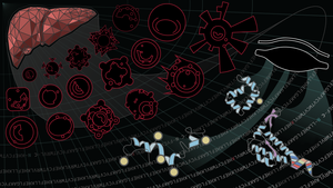 Blood Proteoform Atlas