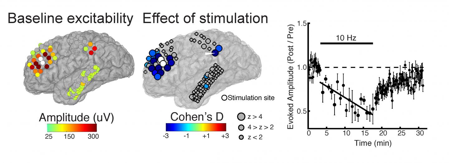 Baseline Excitability