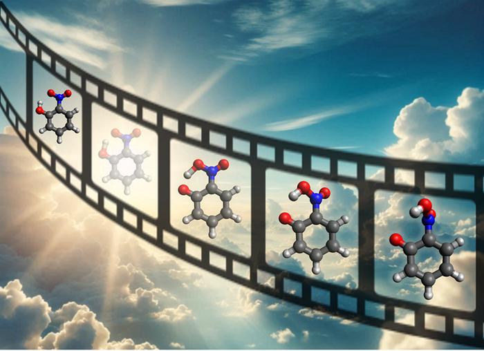 Speedy Nuclei Do the Twist