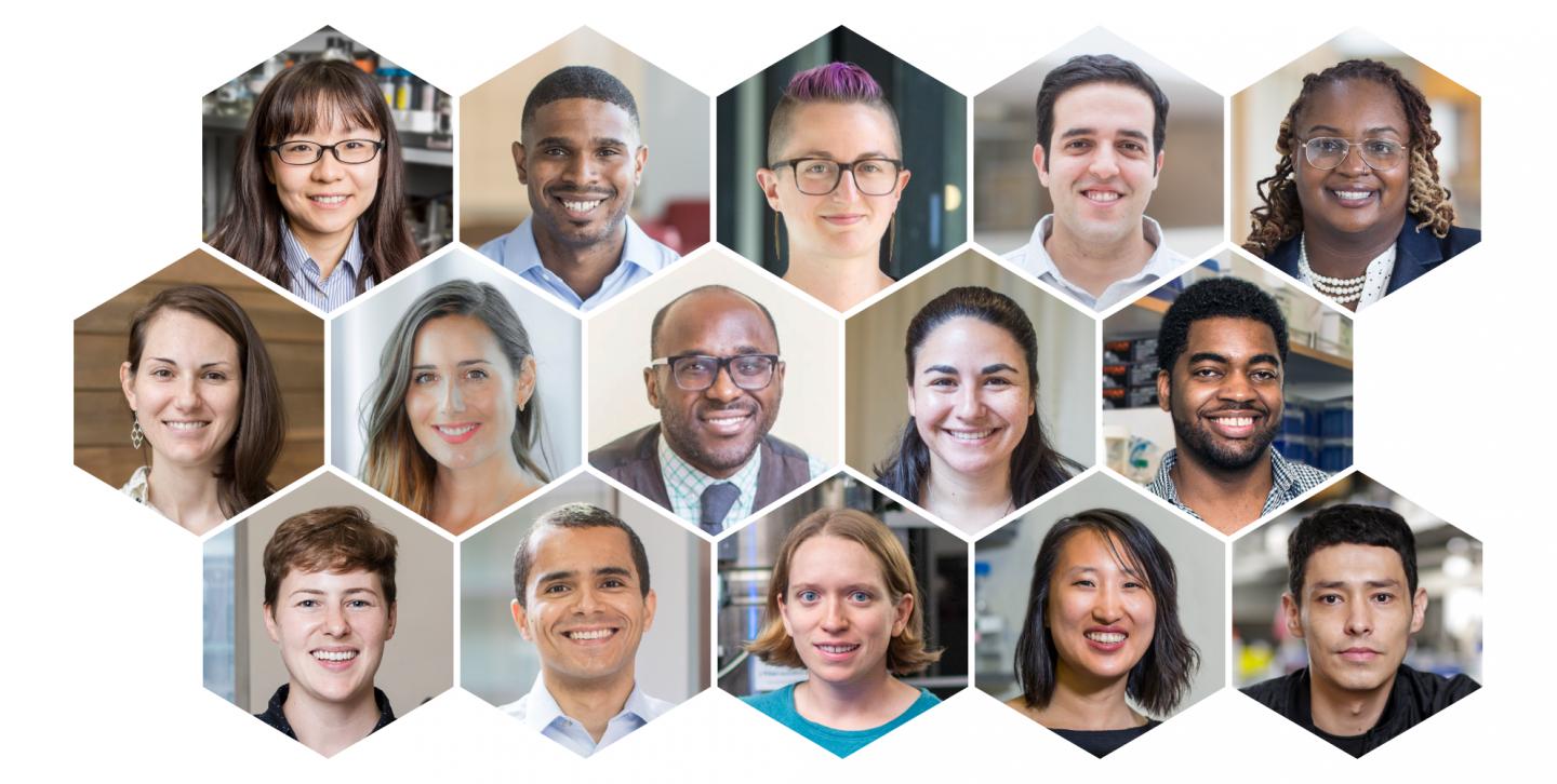 2018 Hanna Gray Fellows