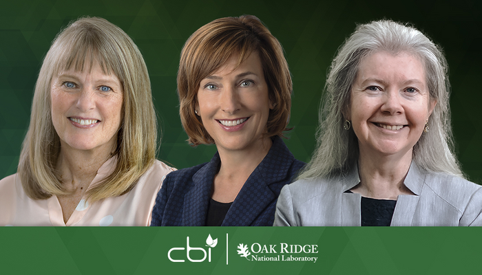 New board members of CBI