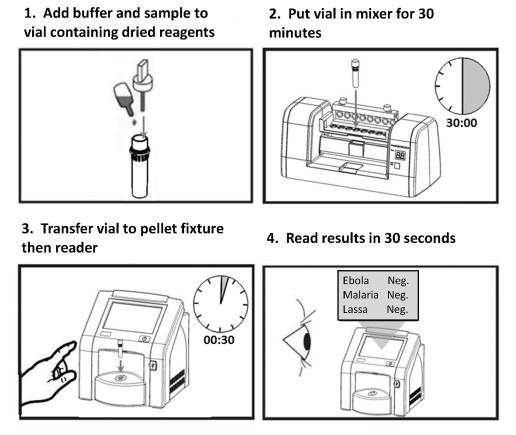 Simple And Rapid Test For Ebola Diagnosis Cou | EurekAlert!