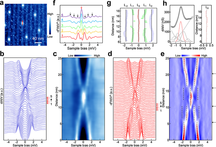 MZM in vortices