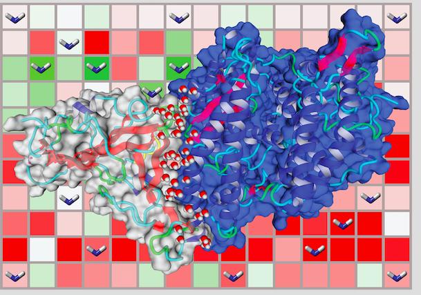 Human ACE2 receptor interacting with SARS-CoV-2 spike protein