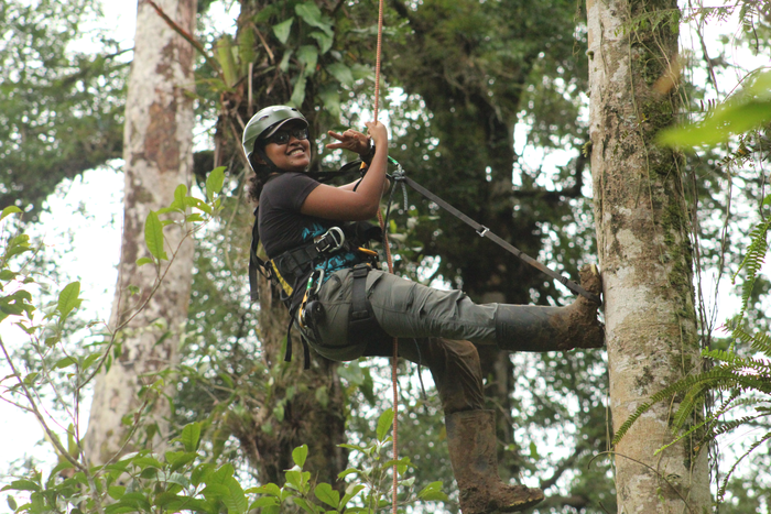 Lilisbeth in the canopy