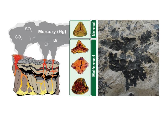 Schematic scenario for flood basalt eruptions at the Triassic-Jurassic boundary