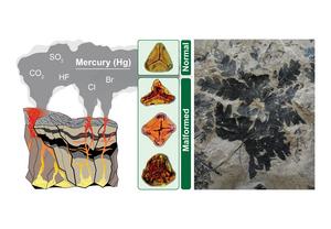 Schematic scenario for flood basalt eruptions at the Triassic-Jurassic boundary