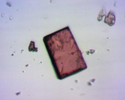 UBMOF-1 After Exposure to UV Light