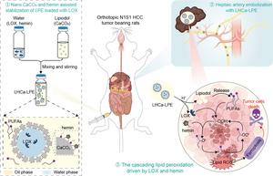 Self-fueling ferroptosis-inducing microreactors for transarterial ferro-embolization therapy