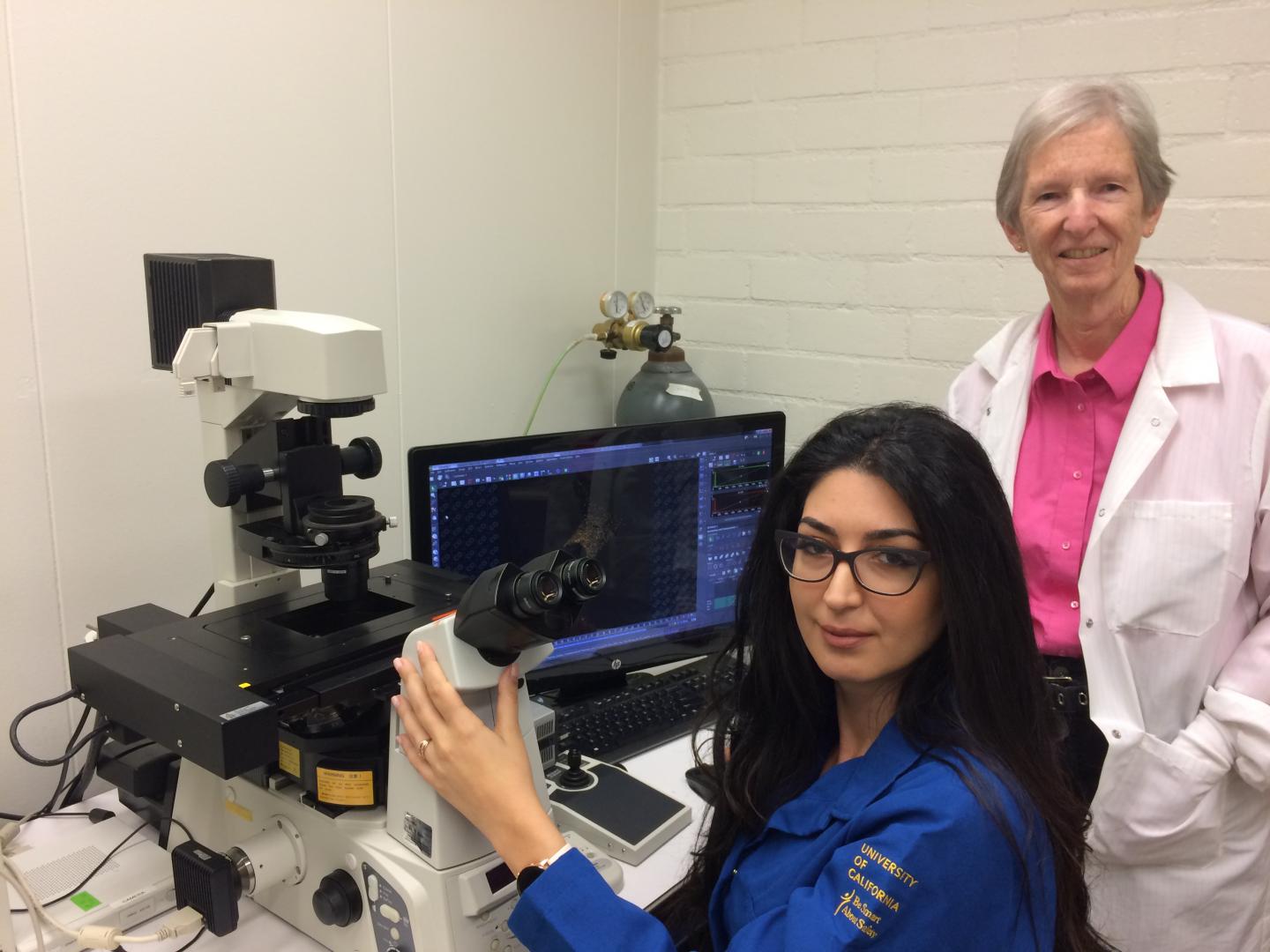 Atena Zahedi and Prue Talbot, University of California - Riverside