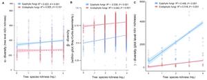 Figure 1  Relationship between the epiphytic and endophytic fungal diversity and tree species richness