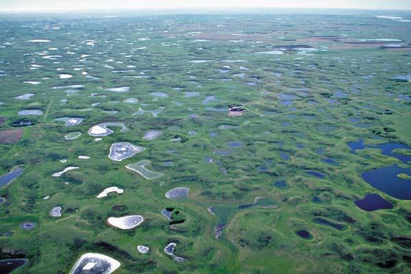 Prairie Pothole Region landscape showing high wetland density