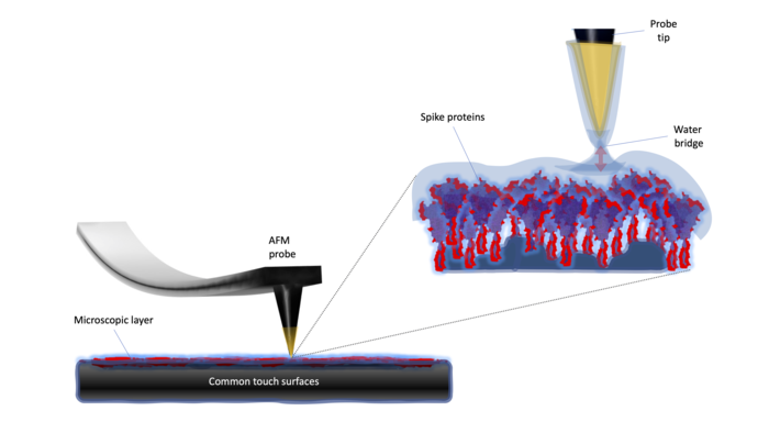 Coronavirus – Probing for particles