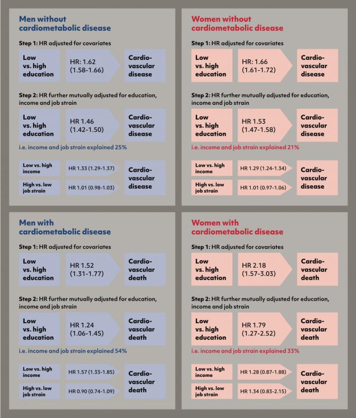 Association between Low Compared to High Education and Cardiovascular Disease and Cardiovascular