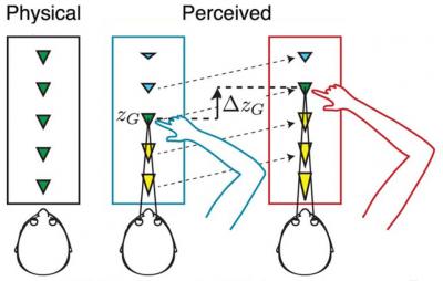 Arm's Length: A Relative Measure