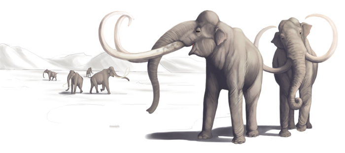 Mammoth art