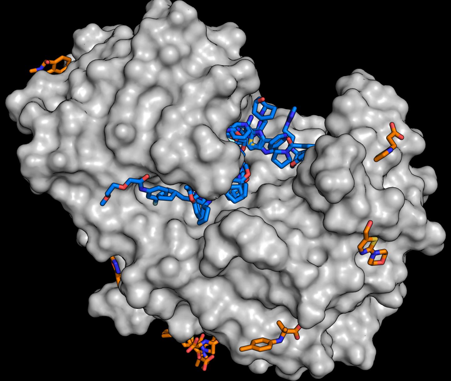 Example: Endothiapepsin